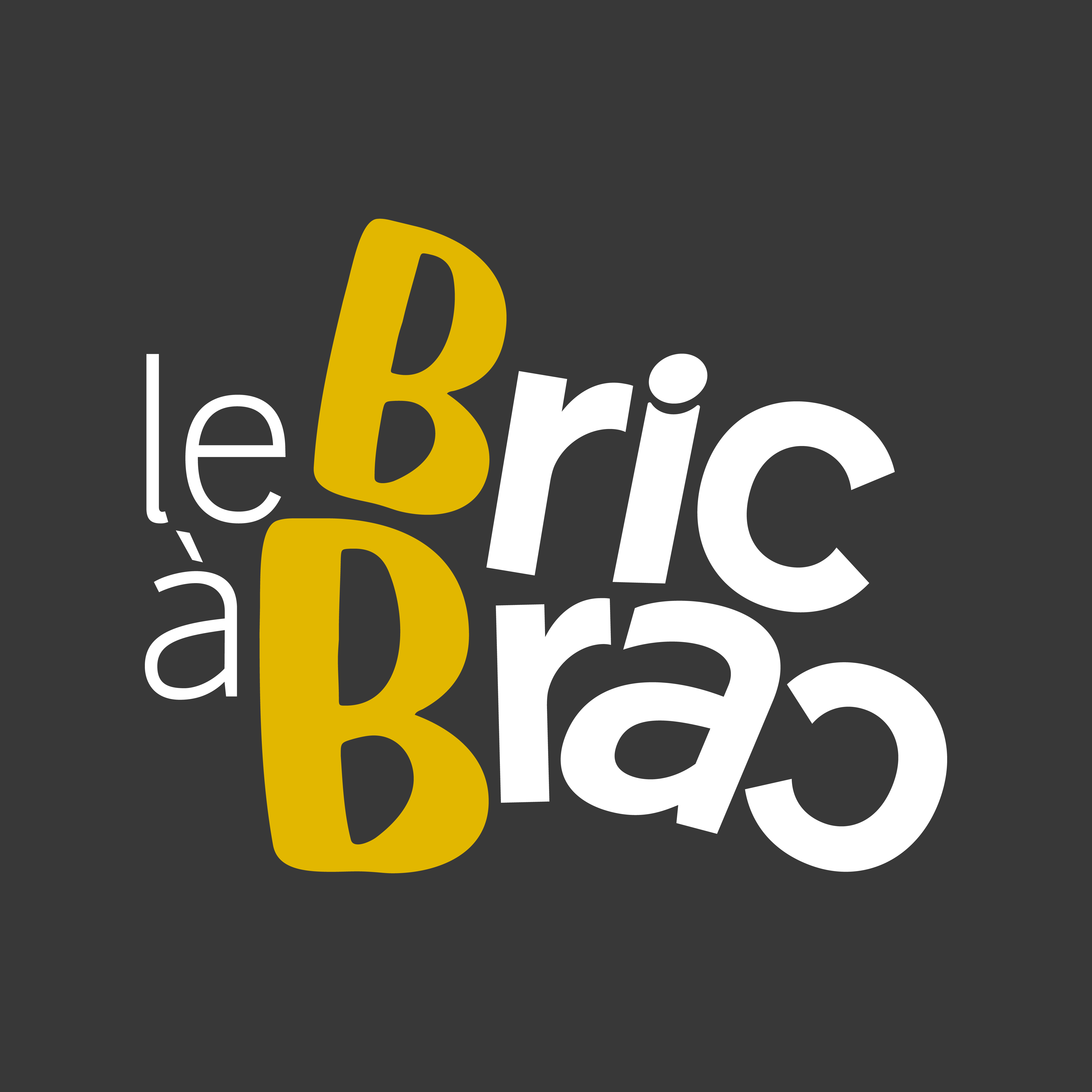 Logo Le Bric à Brac